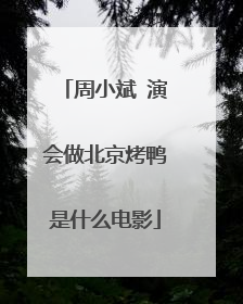 周小斌 演会做北京烤鸭是什么电影