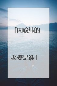 周峻纬的老婆是谁