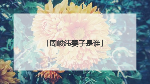 周峻纬妻子是谁