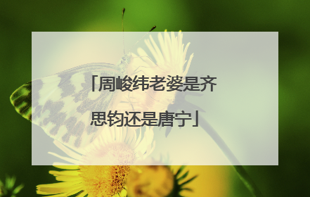 周峻纬老婆是齐思钧还是唐宁