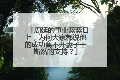 周延的事业蒸蒸日上，为何大家都说他的成功离不开妻子王斯然的支持？