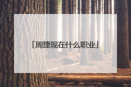 周捷现在什么职业