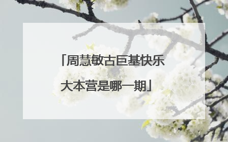 周慧敏古巨基快乐大本营是哪一期
