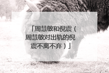 周慧敏和倪震（周慧敏对出轨的倪震不离不弃）