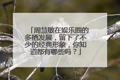 周慧敏在娱乐圈的多栖发展，留下了不少的经典形象，你知道都有哪些吗？