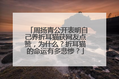周扬青公开表明自己养折耳猫获网友点赞，为什么？折耳猫的命运有多悲惨？
