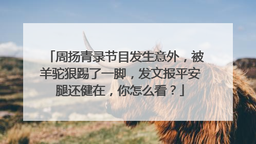周扬青录节目发生意外，被羊驼狠踢了一脚，发文报平安腿还健在，你怎么看？