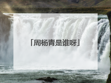 周杨青是谁呀