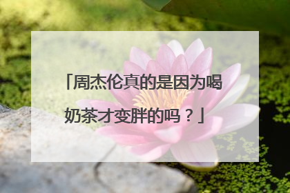 周杰伦真的是因为喝奶茶才变胖的吗？