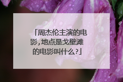 周杰伦主演的电影,地点是戈壁滩的电影叫什么?