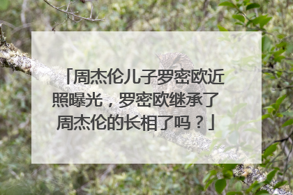 周杰伦儿子罗密欧近照曝光,罗密欧继承了周杰伦的长相了吗?
