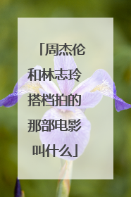 周杰伦和林志玲搭档拍的那部电影叫什么