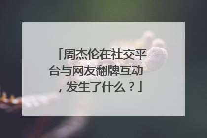 周杰伦在社交平台与网友翻牌互动，发生了什么？