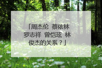 周杰伦 蔡依林 罗志祥 曾恺玹 林俊杰的关系？