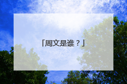 周文是谁？