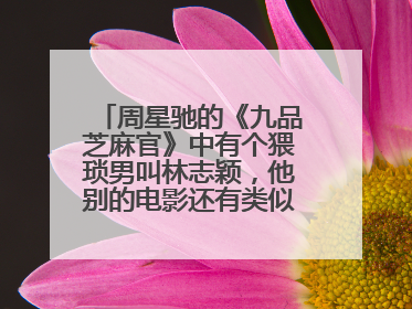 周星驰的《九品芝麻官》中有个猥琐男叫林志颖,他别的电影还有类似桥段吗?