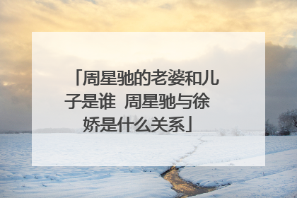 周星驰的老婆和儿子是谁 周星驰与徐娇是什么关系