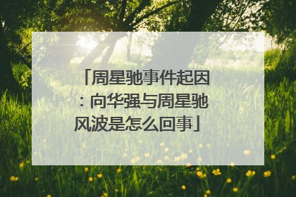 周星驰事件起因：向华强与周星驰风波是怎么回事