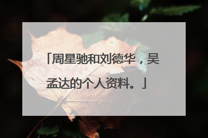 周星驰和刘德华,吴孟达的个人资料。