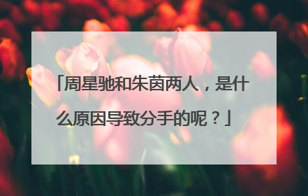 周星驰和朱茵两人，是什么原因导致分手的呢？