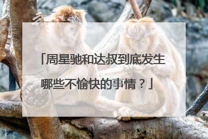 周星驰和达叔到底发生哪些不愉快的事情?