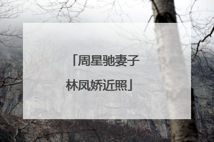 周星驰妻子林凤娇近照