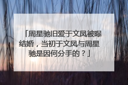 周星驰旧爱于文凤被曝结婚，当初于文凤与周星驰是因何分手的？