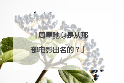 周星驰身是从那部电影出名的?