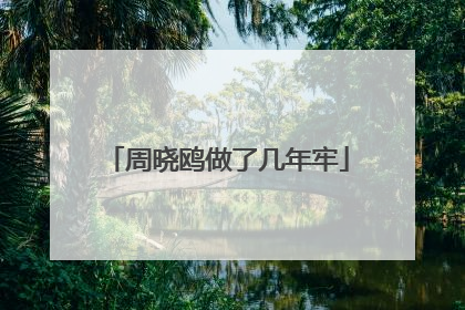 周晓鸥做了几年牢