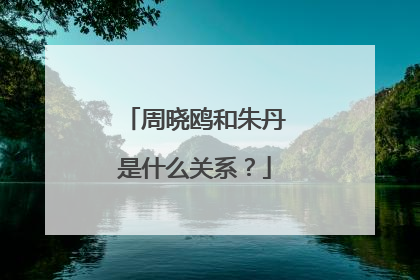 周晓鸥和朱丹是什么关系?