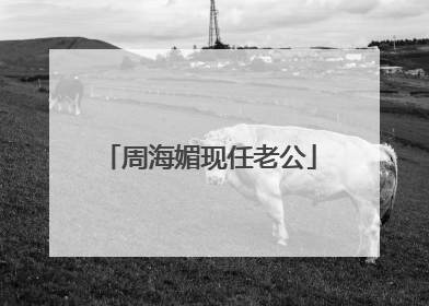 周海媚现任老公