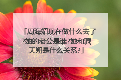 周海媚现在做什么去了?她的老公是谁?她和藏天朔是什么关系?