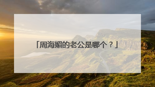 周海媚的老公是哪个？