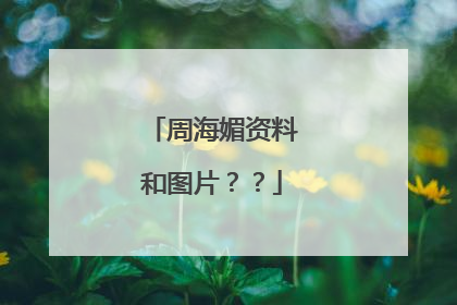 周海媚资料和图片？？