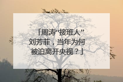 周涛“接班人”刘芳菲,当年为何被迫离开央视?