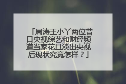 周涛王小丫两位昔日央视综艺和财经频道当家花旦淡出央视后现状究竟怎样?