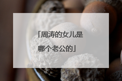 周涛的女儿是哪个老公的