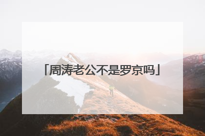 周涛老公不是罗京吗