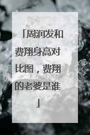 周润发和费翔身高对比图，费翔的老婆是谁