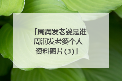 周润发老婆是谁 周润发老婆个人资料图片(3)