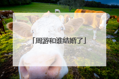 周游和谁结婚了