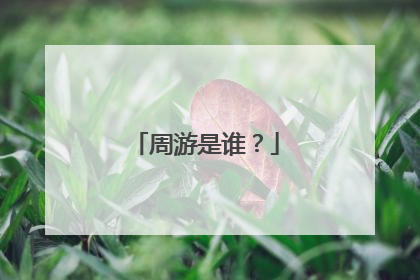 周游是谁?