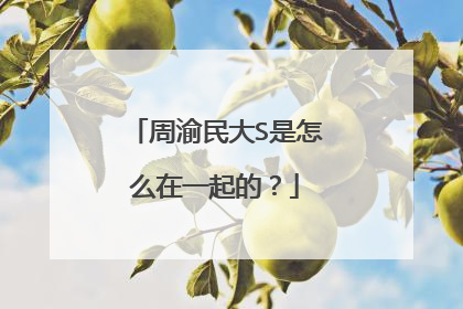 周渝民大S是怎么在一起的?