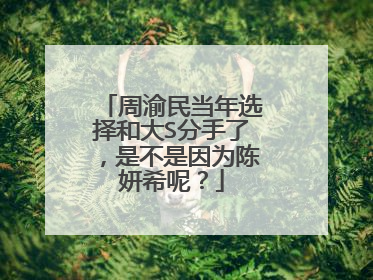 周渝民当年选择和大S分手了,是不是因为陈妍希呢?