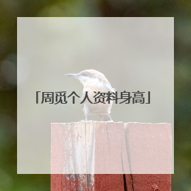 周觅个人资料身高