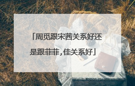 周觅跟宋茜关系好还是跟菲菲,佳关系好