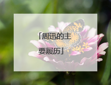 周迅的主要履历