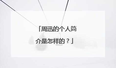 周迅的个人简介是怎样的？