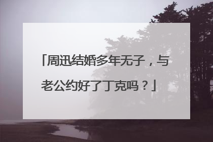 周迅结婚多年无子，与老公约好了丁克吗？