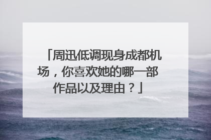 周迅低调现身成都机场，你喜欢她的哪一部作品以及理由？